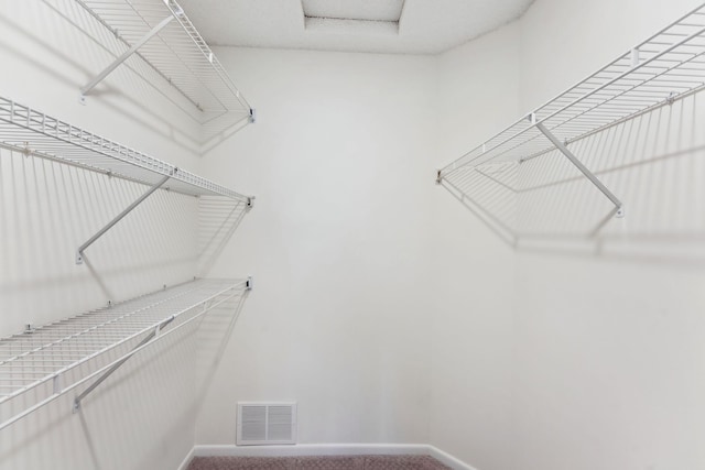 2060 Shenandoah Ct Unit F, Plymouth, MN 55447 - walk in closet featuring carpet floors