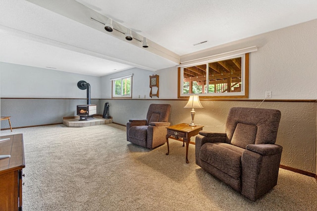 2115 3rd Ave NE, Owatonna, MN 55060 - sitting room with a wood stove, a textured wall, carpet, and track lighting