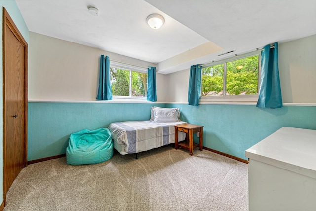 2115 3rd Ave NE, Owatonna, MN 55060 - carpeted bedroom featuring baseboards