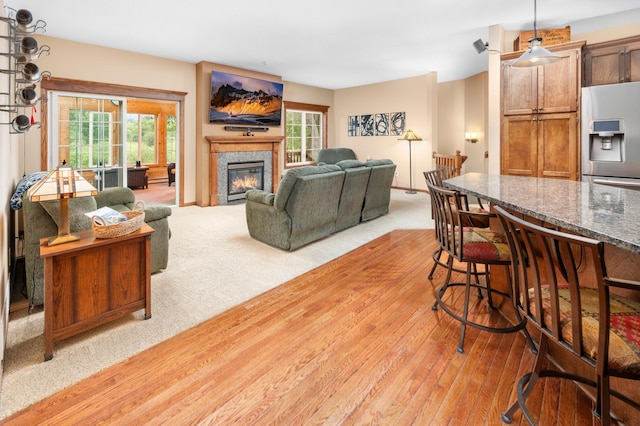 1805 Maple Ln, Saint Cloud, MN 56304 - living area with a glass covered fireplace, light wood-type flooring, and light colored carpet