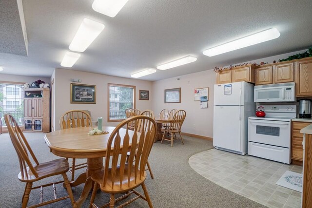 15550 Linnet St NW Unit 1-105, Andover, MN 55304 - photo 13