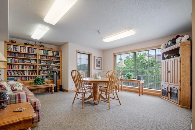 15550 Linnet St NW Unit 1-105, Andover, MN 55304 - photo 14