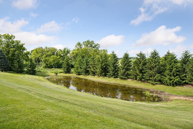 9015 Schutte Ct, Corcoran, MN 55340 - water view