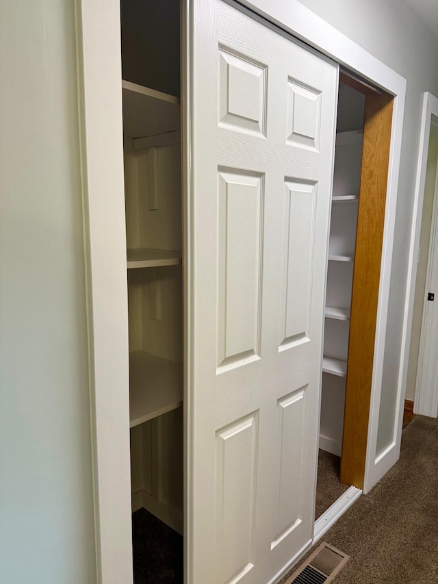 17535 Riverwood Dr, Little Falls, MN 56345 - view of closet