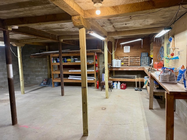 17535 Riverwood Dr, Little Falls, MN 56345 - unfinished below grade area with a workshop area and concrete block wall