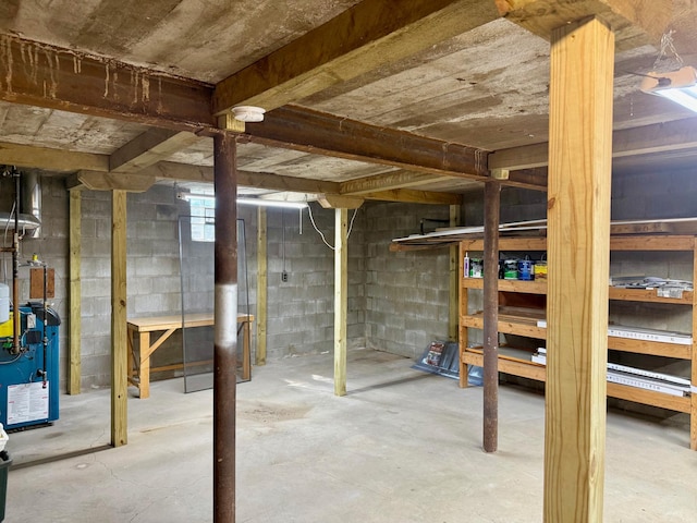 17535 Riverwood Dr, Little Falls, MN 56345 - below grade area featuring a heating unit