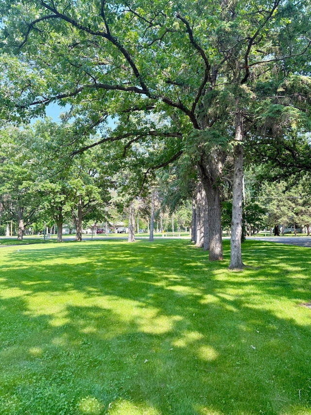 17535 Riverwood Dr, Little Falls, MN 56345 - view of green lawn