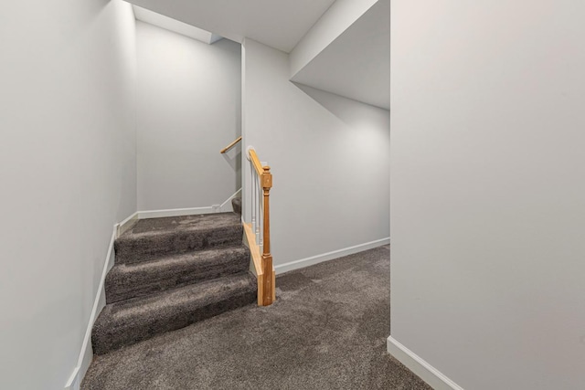 1830 Whitetail Run Pl NE, Owatonna, MN 55060 - stairway with carpet flooring and baseboards