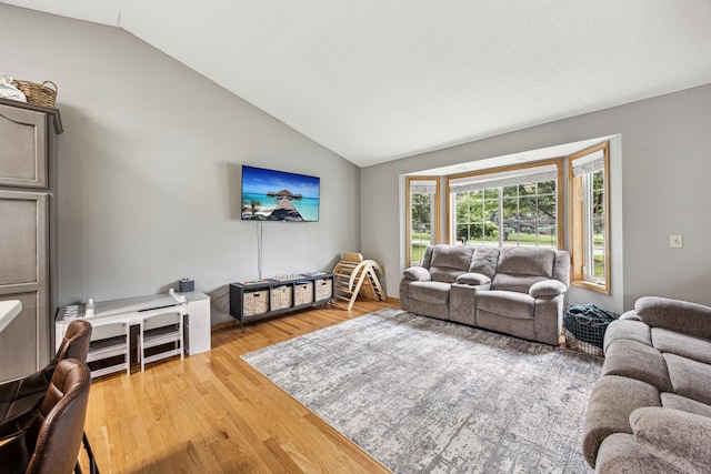 620 Acacia Dr S, Annandale, MN 55302 - living area with lofted ceiling and light wood-type flooring