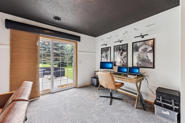 620 Acacia Dr S, Annandale, MN 55302 - office space with carpet floors and a textured ceiling