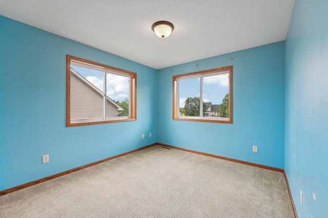 936 Waterford Way, Jordan, MN 55352 - carpeted empty room featuring plenty of natural light