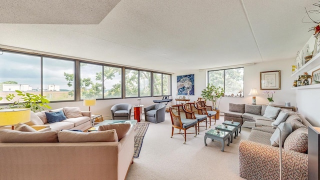 600 4th St SW Unit 401, Rochester, MN 55902 - living room featuring light colored carpet and a textured ceiling