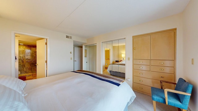 600 4th St SW Unit 401, Rochester, MN 55902 - carpeted bedroom featuring ensuite bathroom