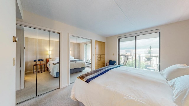 600 4th St SW Unit 401, Rochester, MN 55902 - bedroom with access to exterior, two closets, and light colored carpet
