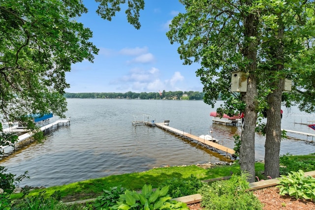 11209 42nd St SE, Clear Lake, MN 55319 - dock with a water view