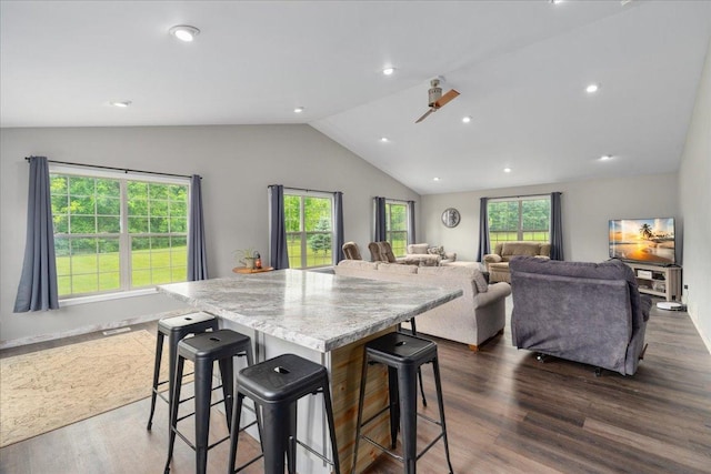 E633 950th Ave, Stanton Twp, WI 54734 - kitchen featuring vaulted ceiling, plenty of natural light, dark wood-style flooring, open floor plan, and recessed lighting