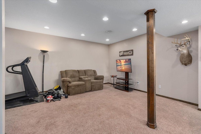 E633 950th Ave, Stanton Twp, WI 54734 - workout area featuring carpet flooring and recessed lighting