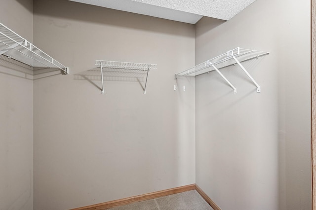 78 10th St E Unit 2901, Saint Paul, MN 55101 - spacious closet featuring carpet floors