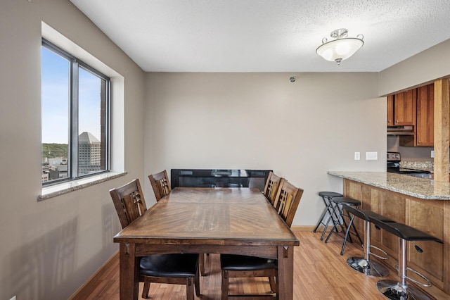 78 10th St E Unit 2901, Saint Paul, MN 55101 - dining space with light wood-style flooring