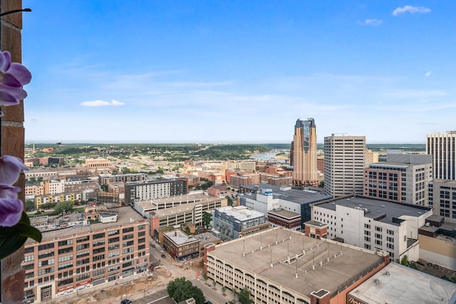 78 10th St E Unit 2901, Saint Paul, MN 55101 - view of city