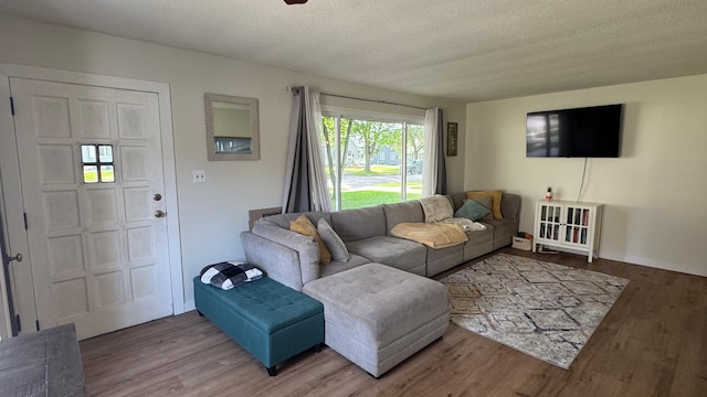 804 17th St SW, Austin, MN 55912 - living area featuring wood finished floors and a textured ceiling