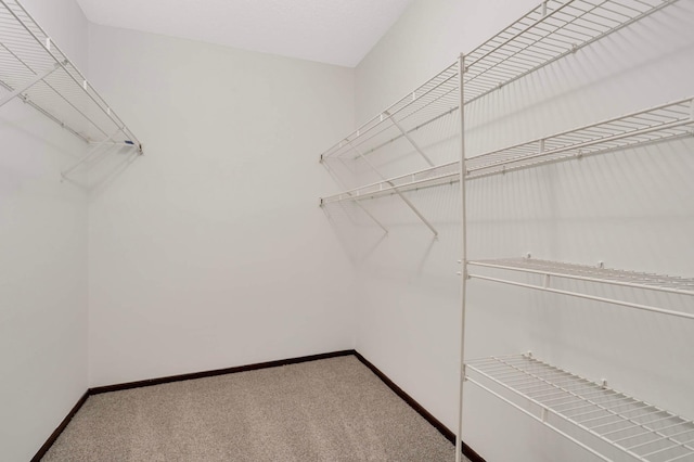8824 134th St W, Apple Valley, MN 55124 - spacious closet featuring carpet flooring
