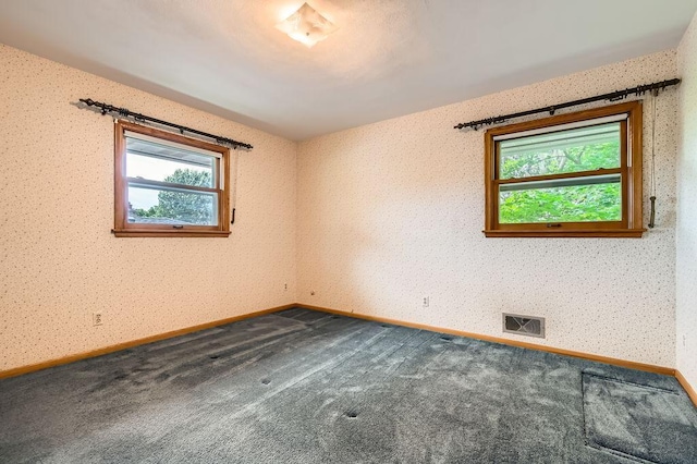53 Morningside Dr, Saint Paul, MN 55119 - spare room featuring healthy amount of natural light and dark carpet