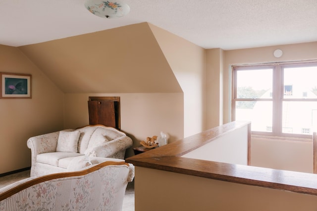 2834 150th St, Luck, WI 54837 - sitting room featuring carpet floors and lofted ceiling