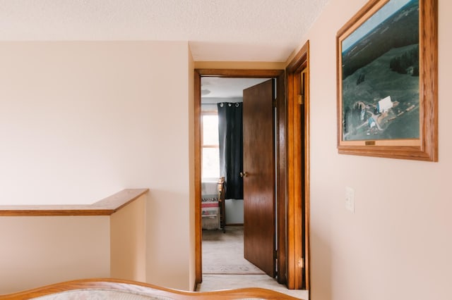 2834 150th St, Luck, WI 54837 - corridor with a textured ceiling