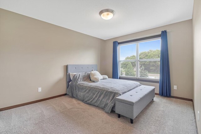 369 144th Ln NW, Andover, MN 55304 - bedroom featuring carpet and baseboards