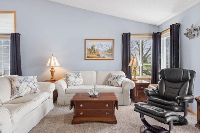 1978 110th Ct NE Unit 1103, Blaine, MN 55449 - living area featuring vaulted ceiling and carpet