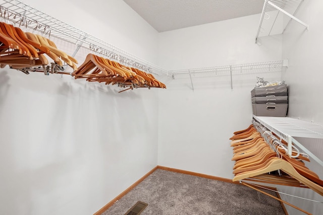 1978 110th Ct NE Unit 1103, Blaine, MN 55449 - walk in closet featuring carpet flooring