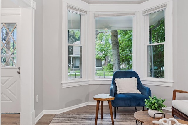 59 Winnipeg Ave, Saint Paul, MN 55117 - living area with wood finished floors and baseboards