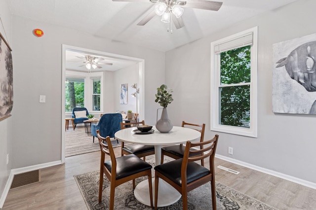 59 Winnipeg Ave, Saint Paul, MN 55117 - dining room with plenty of natural light, a ceiling fan, and light wood-style floors