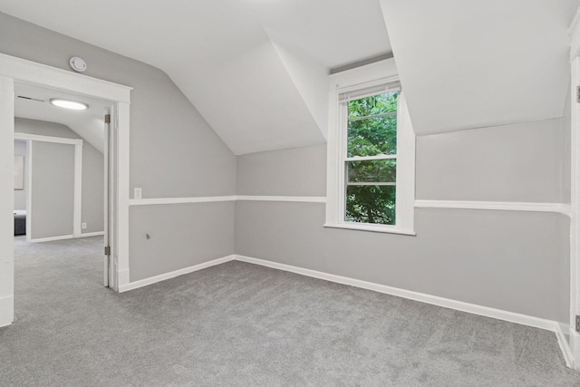 59 Winnipeg Ave, Saint Paul, MN 55117 - additional living space featuring lofted ceiling and carpet floors