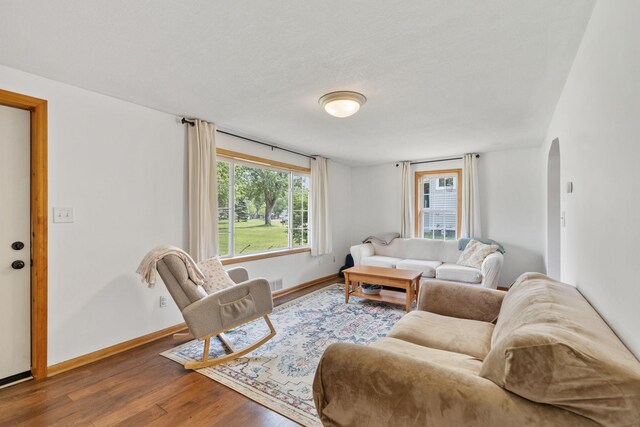 500 Cartway Rd, Champlin, MN 55316 - living room featuring arched walkways and wood finished floors
