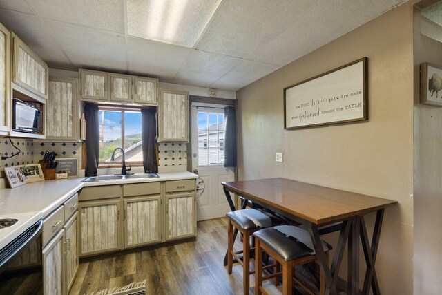 312 5th Ave, Bovey, MN 55709 - kitchen featuring black microwave, dark wood-style flooring, light countertops, light brown cabinets, and white electric range