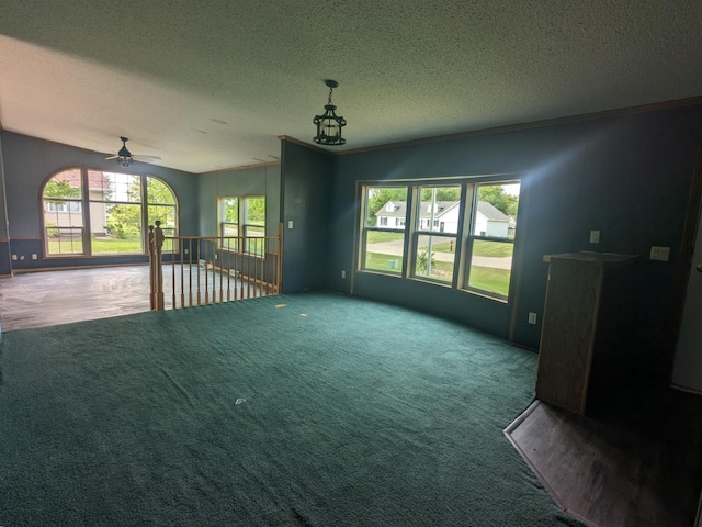 204 6th St W, Carlos, MN 56319 - unfurnished living room with carpet floors, healthy amount of natural light, a textured ceiling, and ceiling fan