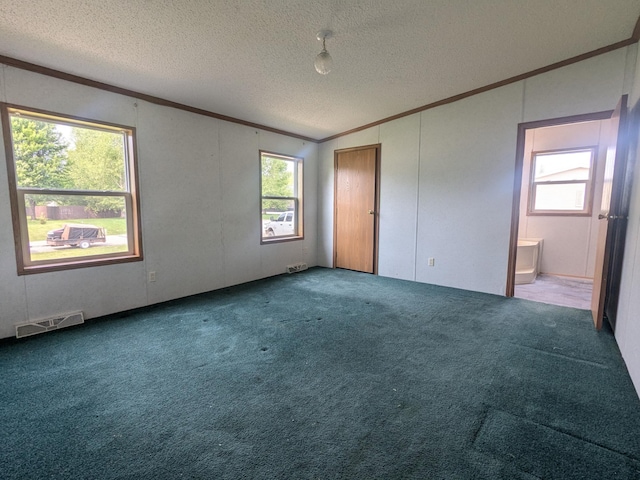 204 6th St W, Carlos, MN 56319 - empty room featuring ornamental molding, carpet floors, and a textured ceiling