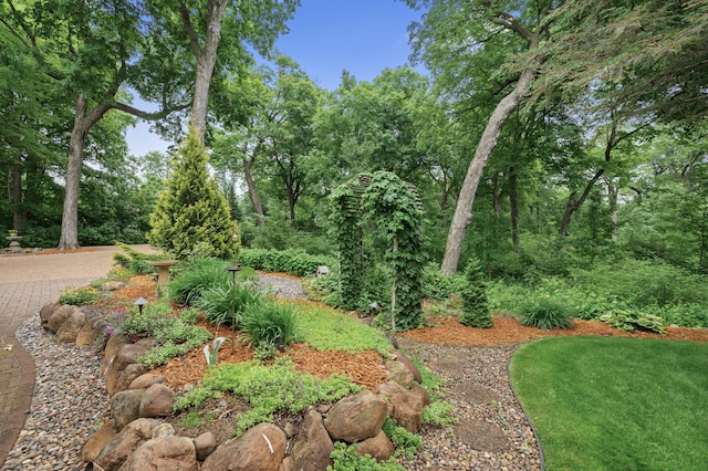 6300 78th Ln, Greenfield, MN 55357 - view of yard