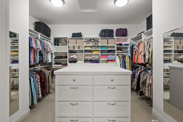 6300 78th Ln, Greenfield, MN 55357 - walk in closet featuring light carpet