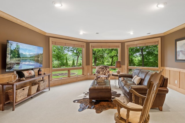 6300 78th Ln, Greenfield, MN 55357 - living room featuring carpet, crown molding, a decorative wall, wainscoting, and recessed lighting