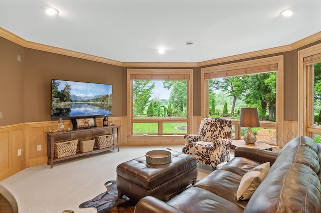 6300 78th Ln, Greenfield, MN 55357 - living room featuring a wainscoted wall, crown molding, carpet floors, and recessed lighting
