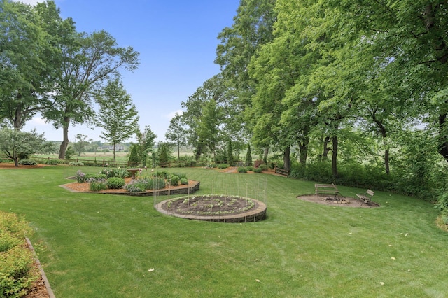 6300 78th Ln, Greenfield, MN 55357 - view of green lawn