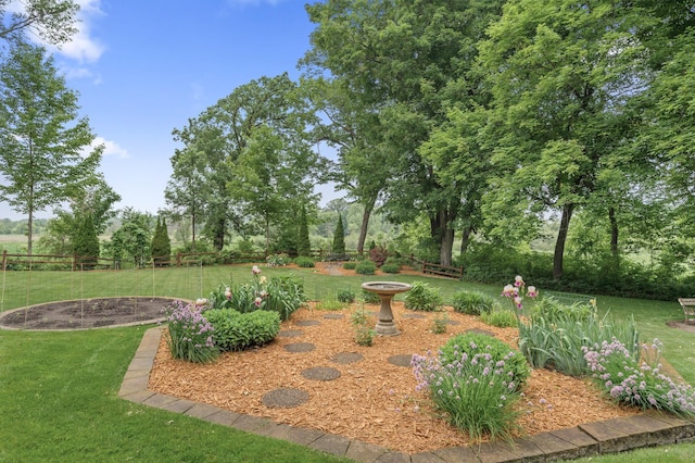 6300 78th Ln, Greenfield, MN 55357 - view of yard featuring view of wooded area