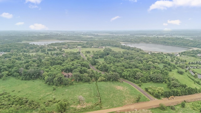 6300 78th Ln, Greenfield, MN 55357 - bird's eye view of a large body of water