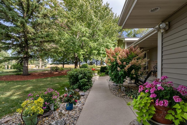 20206 Monks Ave, Mankato, MN 56001 - view of grassy yard