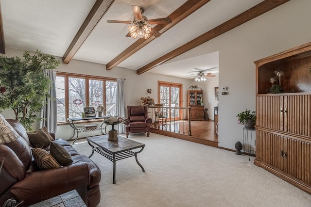 20206 Monks Ave, Mankato, MN 56001 - living room with ceiling fan and carpet flooring