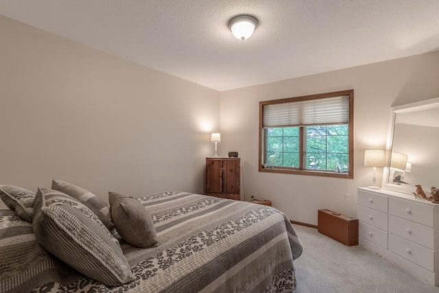 20206 Monks Ave, Mankato, MN 56001 - bedroom with light carpet and baseboards