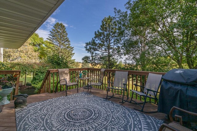 20206 Monks Ave, Mankato, MN 56001 - deck with a grill